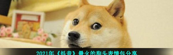 2021年《抖音》最火的狗头表情包分享