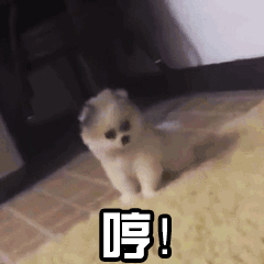 2021年《抖音》最火的狗头表情包分享