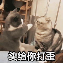 2021年《抖音》最火的狗头表情包分享