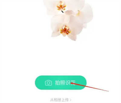 《微信》识别花草方法详细介绍
