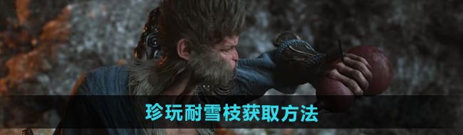 《黑神话悟空》珍玩耐雪枝获取方法
