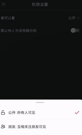 《抖音》一天可见的视频第二天查看地址