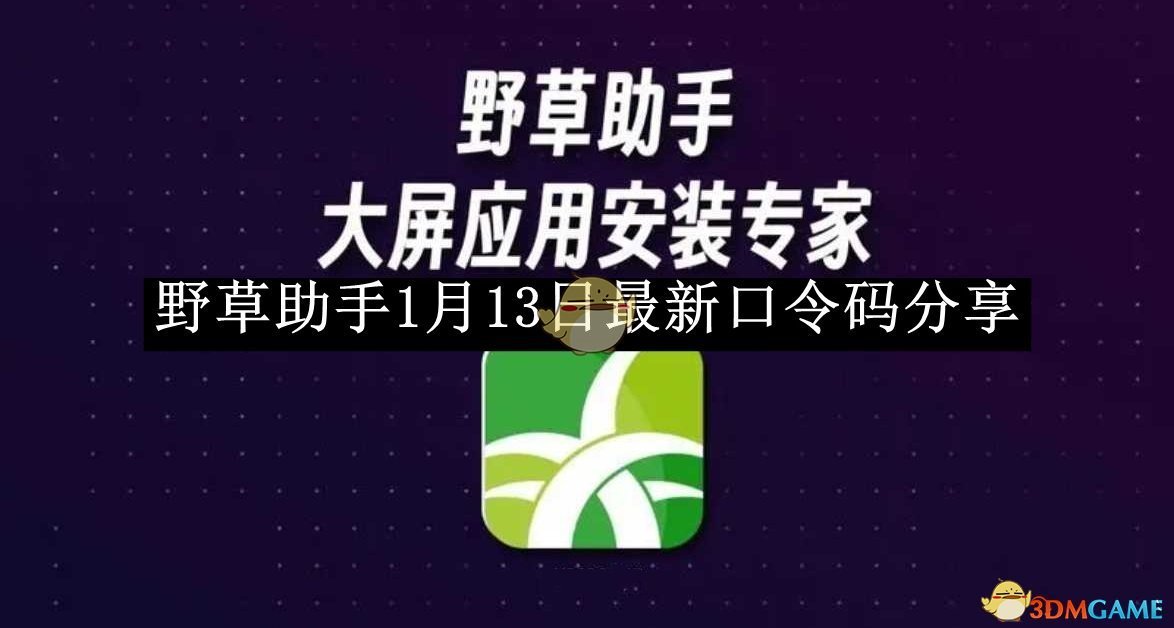 《野草助手》1月13日最新口令码分享