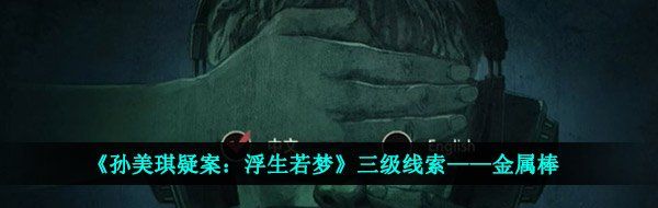 《孙美琪疑案：浮生若梦》三级线索——金属棒