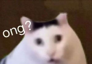 《抖音》huh猫和山羊梗的意思介绍