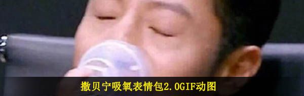 撒贝宁吸氧表情包2.0GIF动图