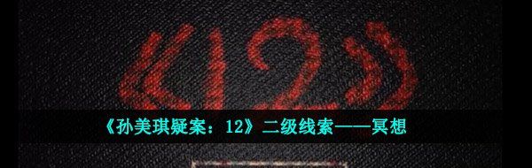 《孙美琪疑案：12》二级线索——冥想
