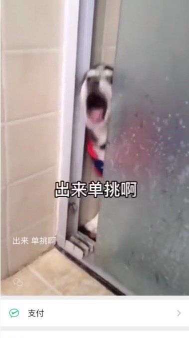 《微信》8.0状态背景视频素材分享