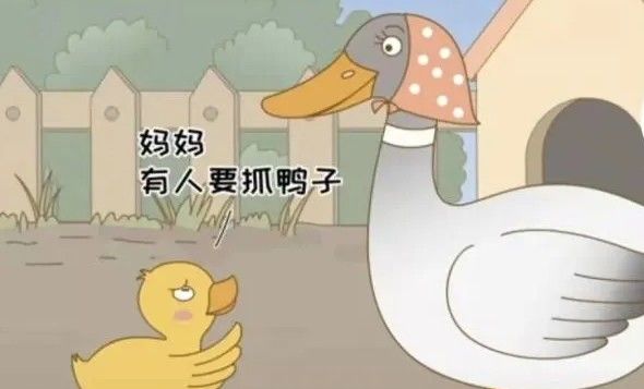 《抖音》抓鸭子之歌歌曲信息介绍