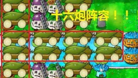 植物大战僵尸1无尽版*阵容是什么 植物大战僵尸1无尽版*阵容布局