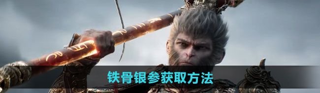 《黑神话悟空》铁骨银参获取方法