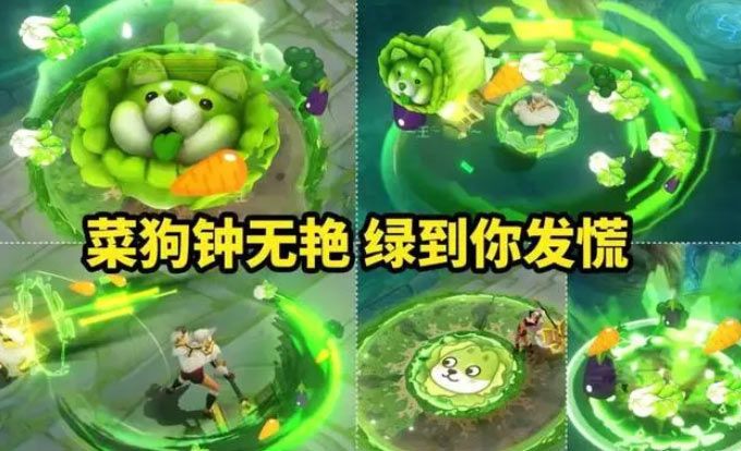 王者荣耀钟无艳菜狗皮肤价格是多少-钟无艳菜狗皮肤价格一览