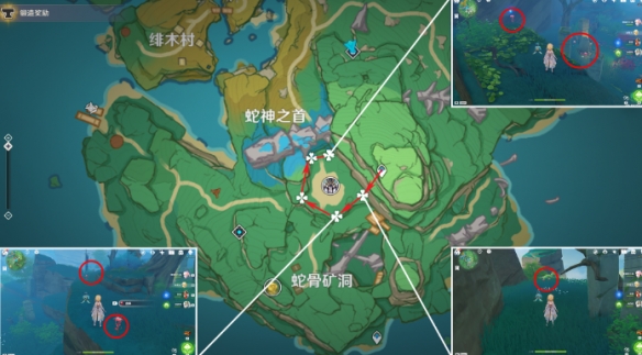 原神血斛收集路线推荐3