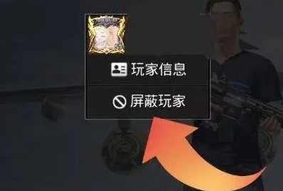 和平精英设置微信好友不可见方法图二