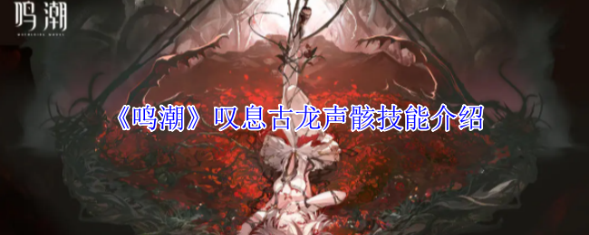 《鸣潮》叹息古龙声骸技能介绍