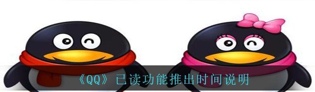 《QQ》已读功能推出时间说明