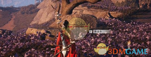 《燕云十六声》佛泪参每日必刷地点