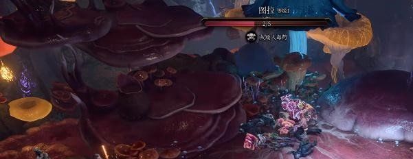 《博德之门3》速度之靴获取方法
