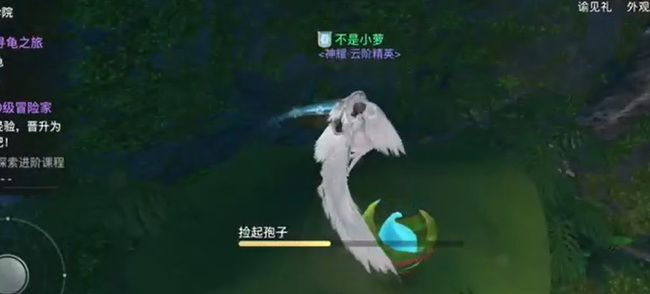 《天谕手游》寻药之旅任务攻略