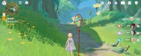 《原神》3.0魔神任务穿越烟帷与暗林攻略大全