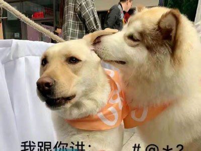 《抖音》麻辣麻辣梗的意思介绍