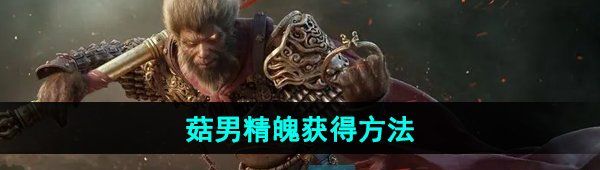 《黑神话悟空》菇男精魄获得方法