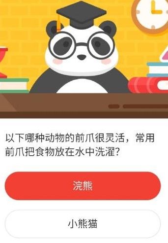 2021《微博》1月4日森林驿站每日一题答案