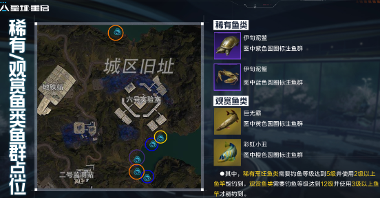 星球重启金色鱼点在哪里_星球重启金色鱼点位置介绍
