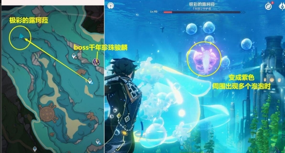 原神极彩的露珂菈打法