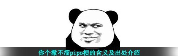 你个撒不溜pipo梗的含义及出处介绍