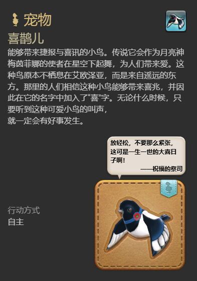 《最终幻想14：水晶世界》喜鹊儿宠物获得方法