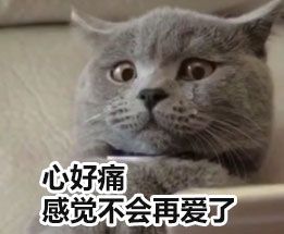 2021《支付宝》蚂蚁庄园5月8日每日一题答案（2）