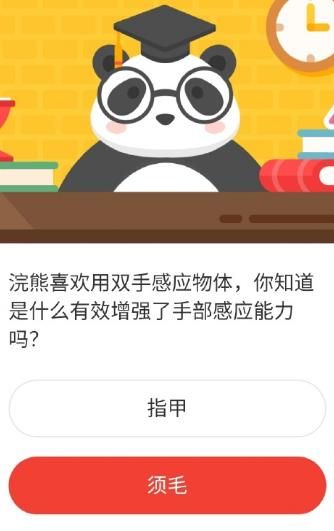2021《微博》1月5日森林驿站每日一题答案