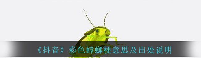 《抖音》彩色蟑螂梗意思及出处说明