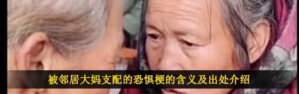 被邻居大妈支配的恐惧梗的含义及出处介绍
