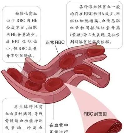 2021《支付宝》蚂蚁庄园4月16日每日一题答案