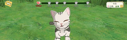 《小森生活》猫咪养成计划任务完成攻略
