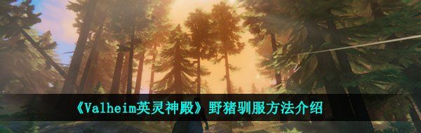《Valheim英灵神殿》野猪驯服方法介绍