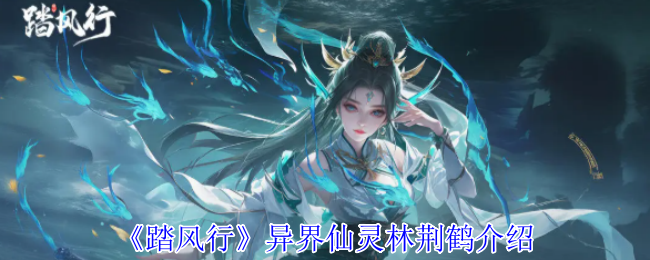 《踏风行》异界仙灵林荆鹤介绍