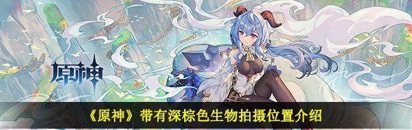 《原神》带有深棕色生物拍摄位置介绍