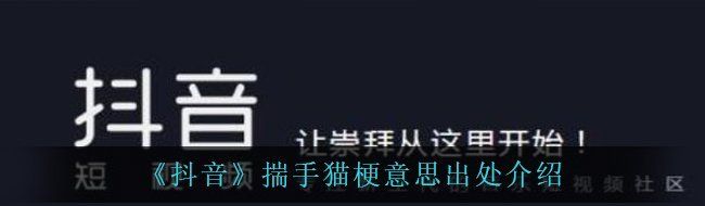 《抖音》揣手猫梗意思出处介绍