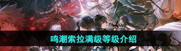 《鸣潮手游》索拉满级等级介绍
